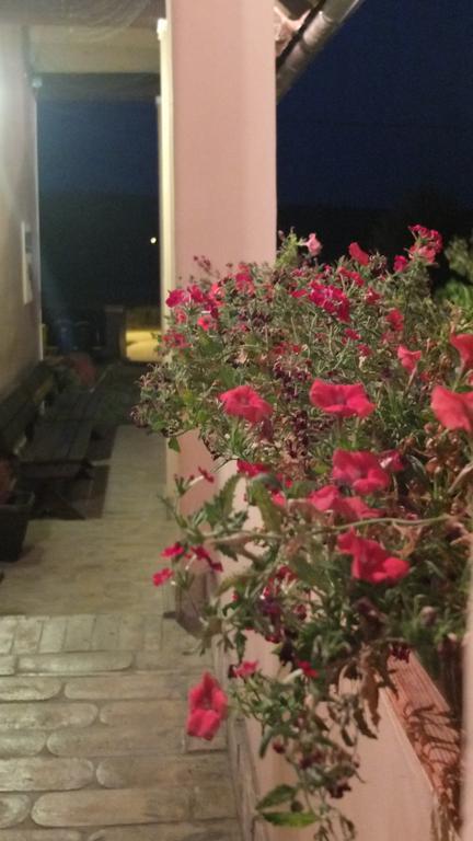 Country House Baranjski Tulipan Draz Bagian luar foto