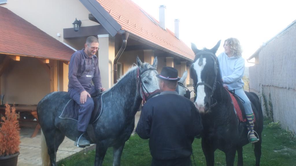 Country House Baranjski Tulipan Draz Bagian luar foto